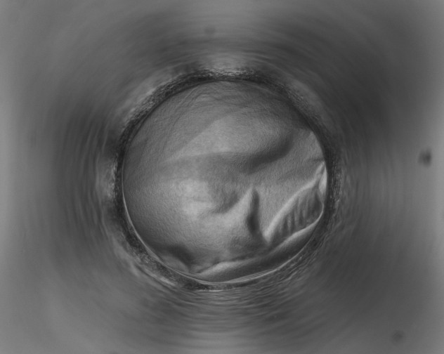 X0000116510596200912231235