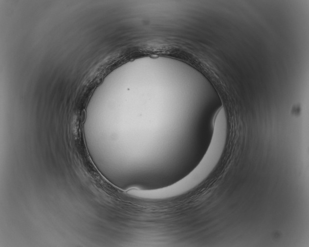 X0000116510597200912231235