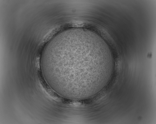 X0000116510598200912231235