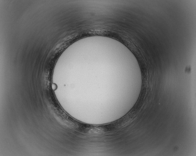 X0000116510599200912231235