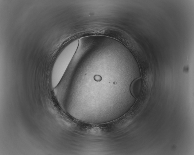 X0000116510600200912231235