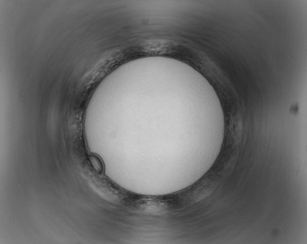 X0000116510601200912231235