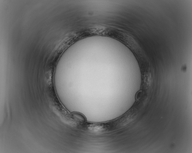 X0000116510602200912231235