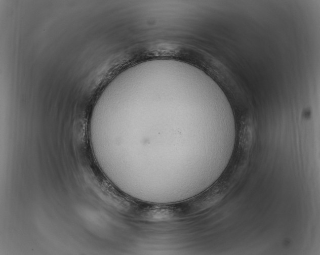 X0000116510604200912231235