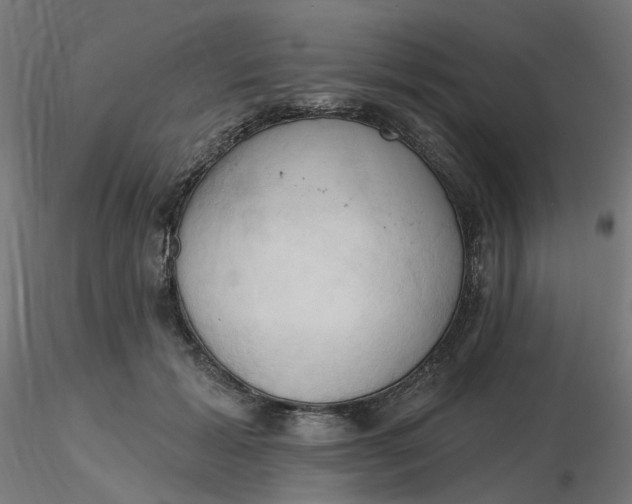 X0000116510605200912231235