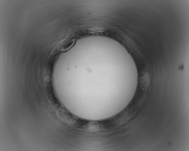 X0000116510608200912231235