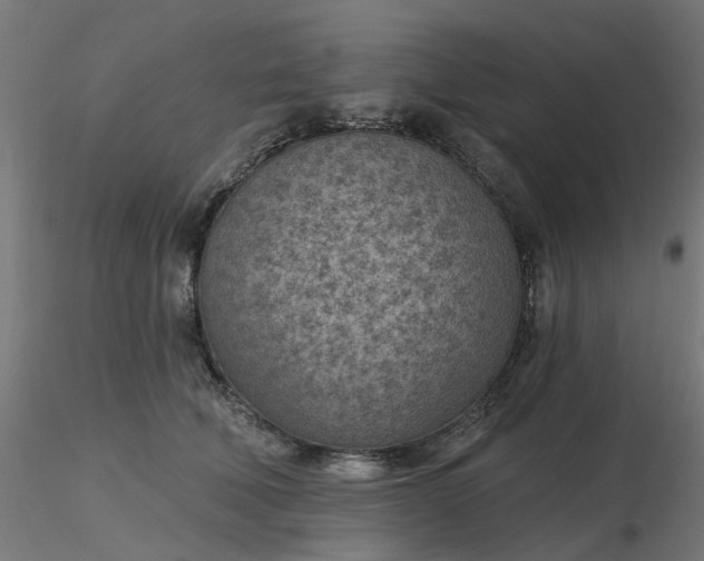 X0000116510610200912231235