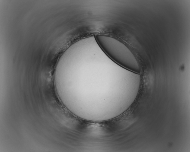 X0000116510611200912231235