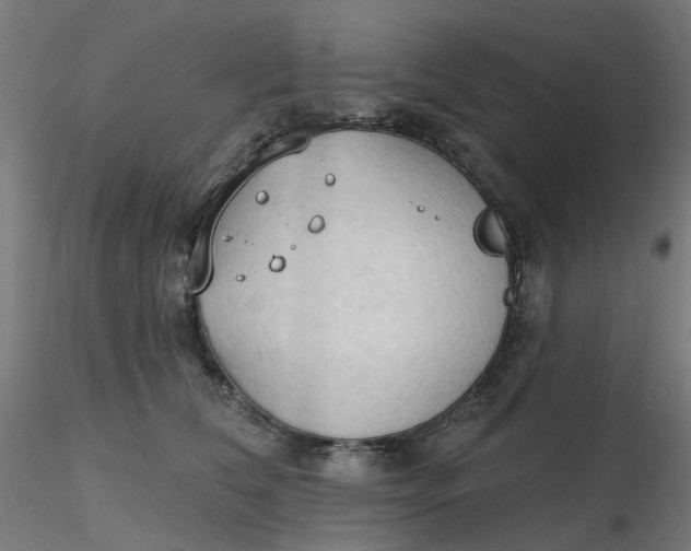 X0000116510612200912231235