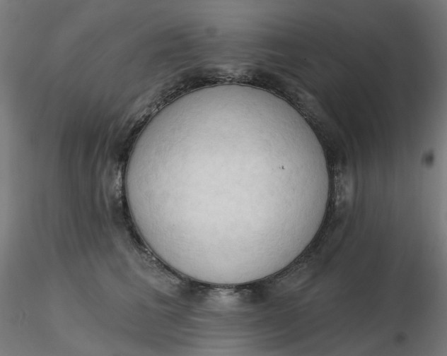 X0000116510613200912231235