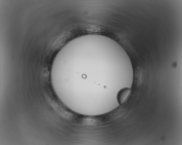 X0000116510614200912231235