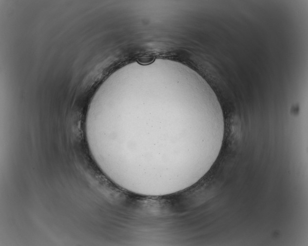 X0000116510615200912231235