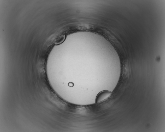 X0000116510616200912231235