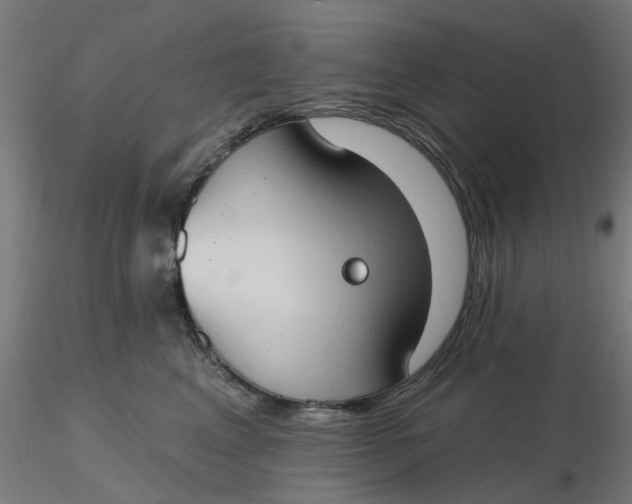 X0000116510617200912231235