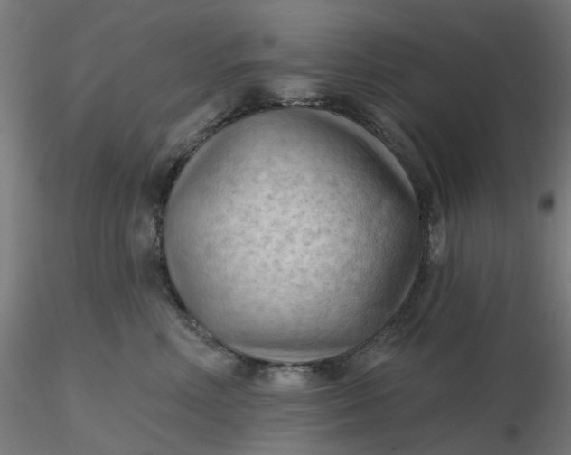 X0000116510618200912231235