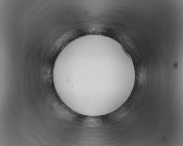 X0000116510619200912231235