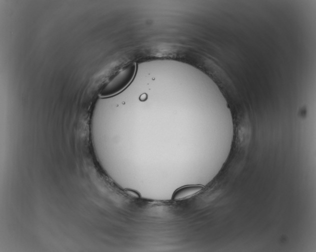 X0000116510620200912231235