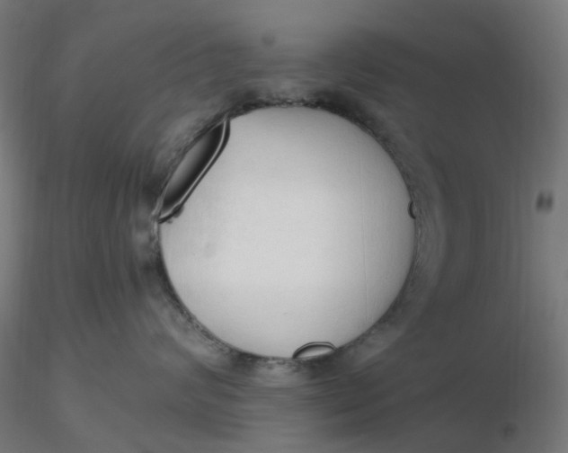 X0000116510624200912231234