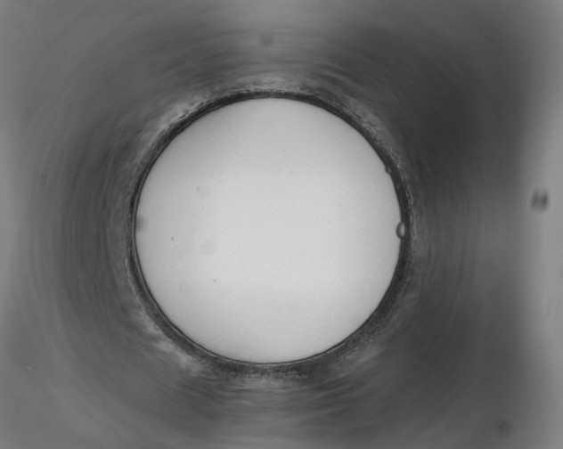 X0000116510625200912231234