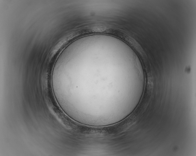 X0000116510626200912231234