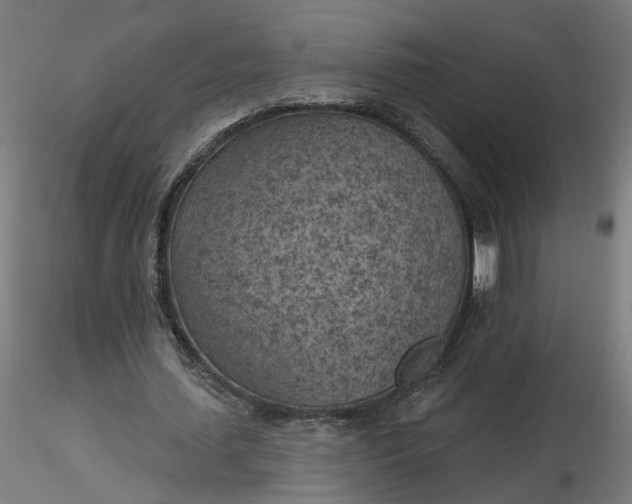 X0000116510627200912231234