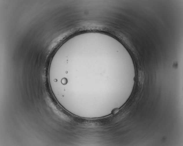 X0000116510629200912231234