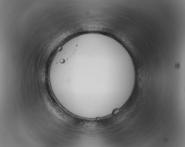 X0000116510631200912231234