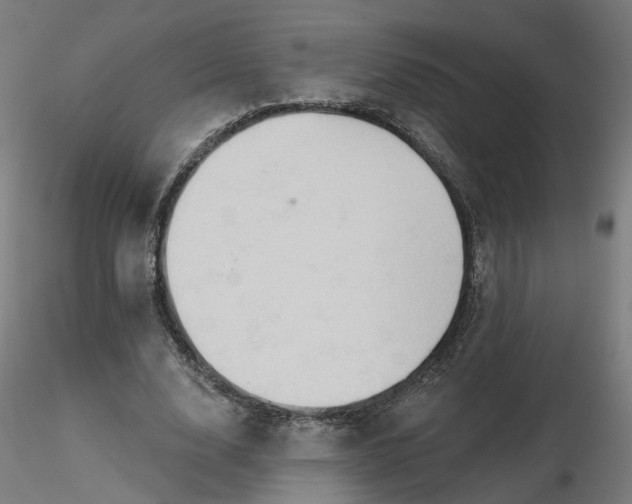 X0000116510632200912231234