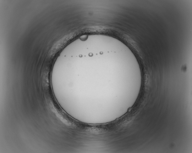 X0000116510633200912231234