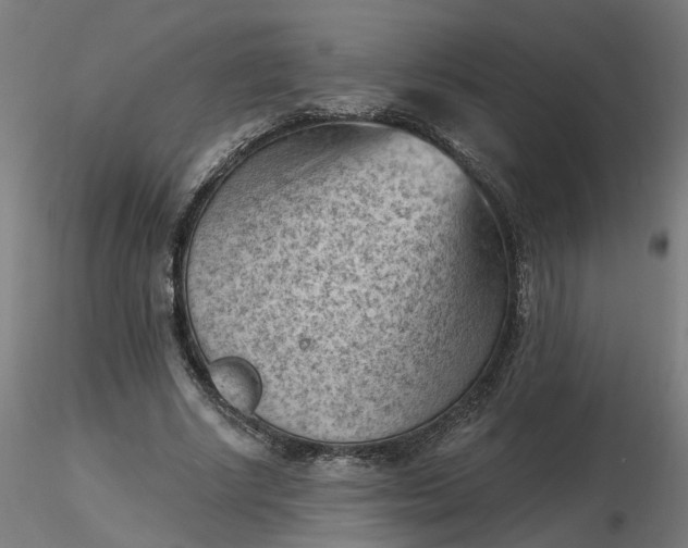 X0000116510634200912231234