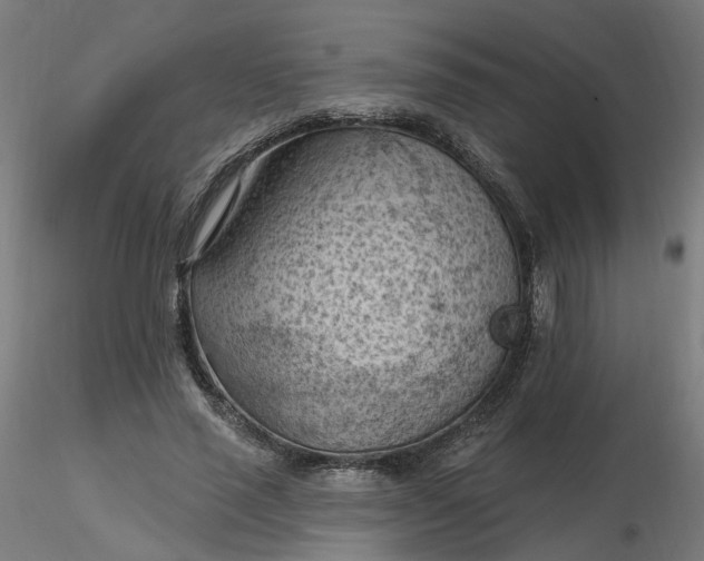 X0000116510637200912231234