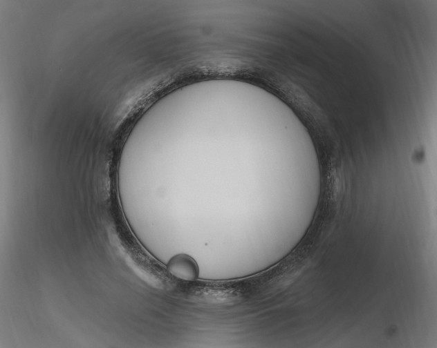 X0000116510638200912231234