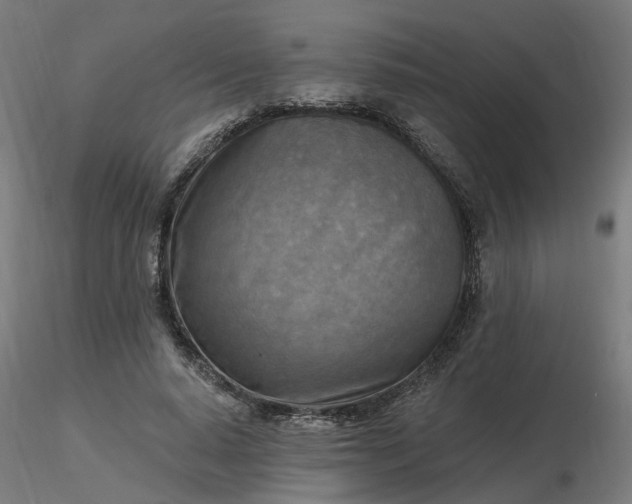 X0000116510640200912231234