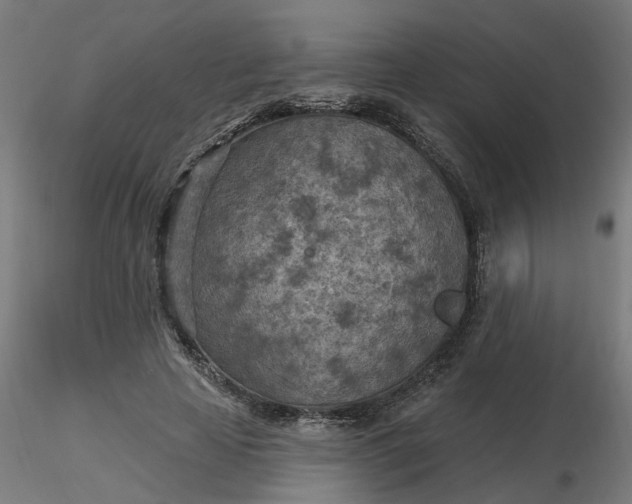 X0000116510641200912231234