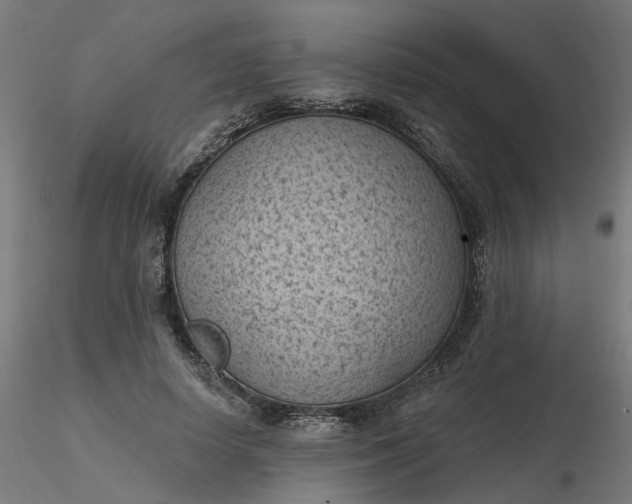 X0000116510642200912231234