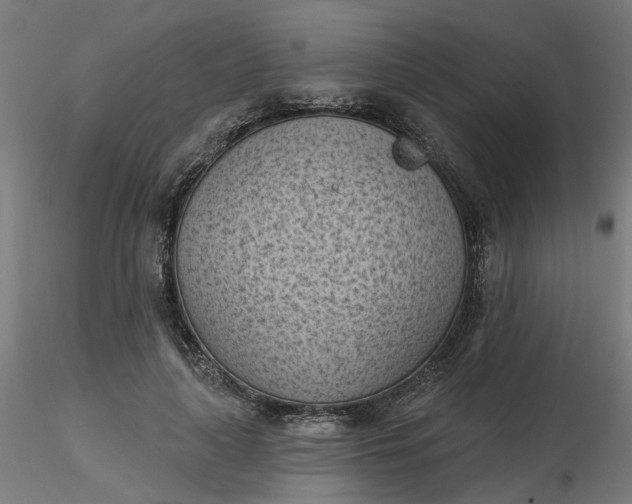 X0000116510643200912231234