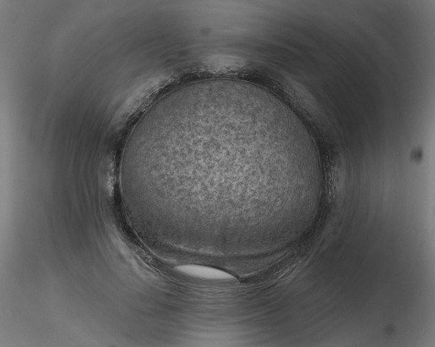 X0000116510644200912231234