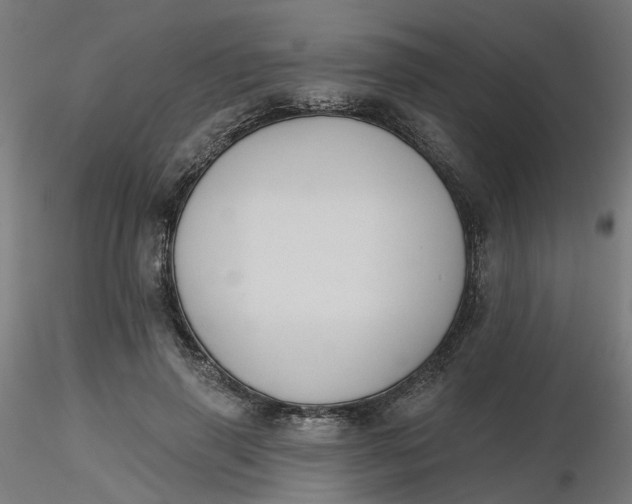 X0000116510645200912231234