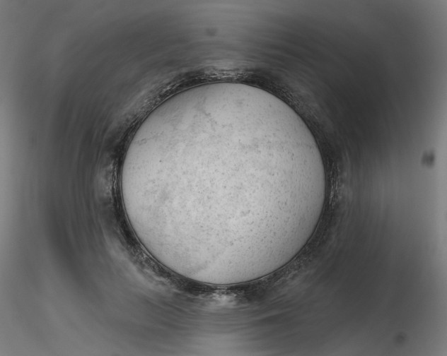 X0000116510647200912231234