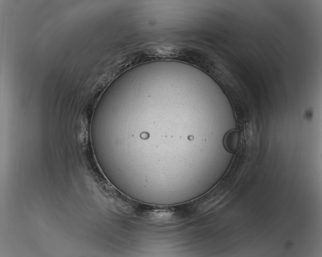 X0000116510651200912231234