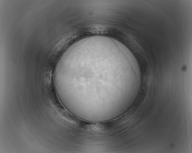 X0000116510652200912231234