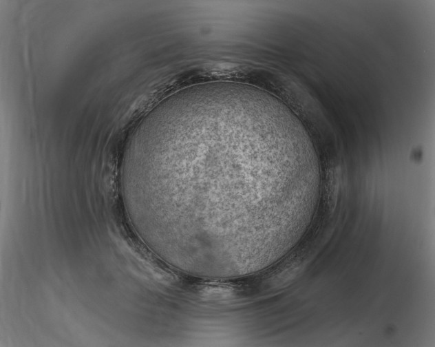 X0000116510653200912231234