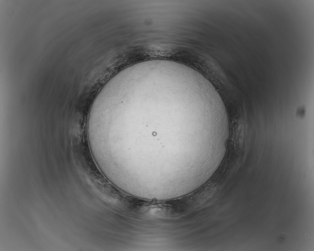 X0000116510655200912231234