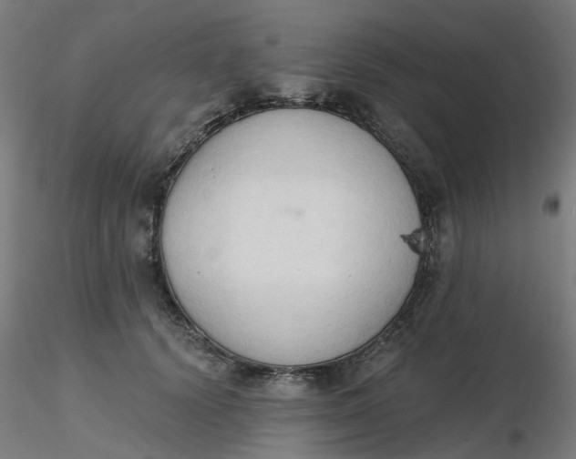 X0000116510656200912231234