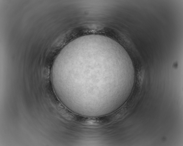 X0000116510657200912231234