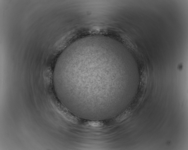 X0000116510659200912231234