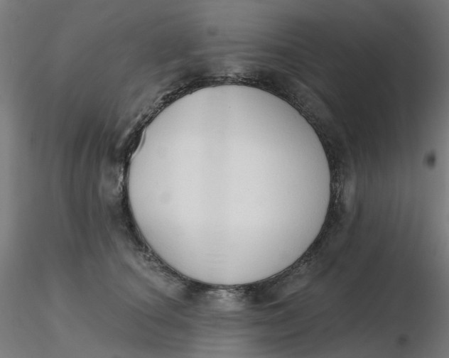 X0000116510660200912231234