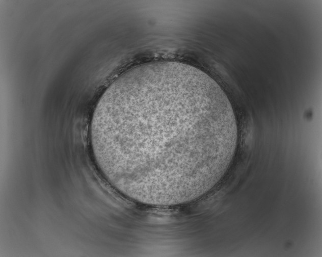 X0000116510661200912231234