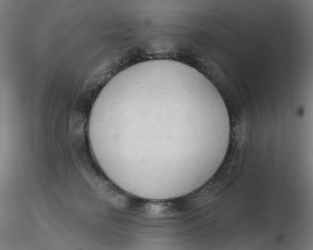 X0000116510662200912231234