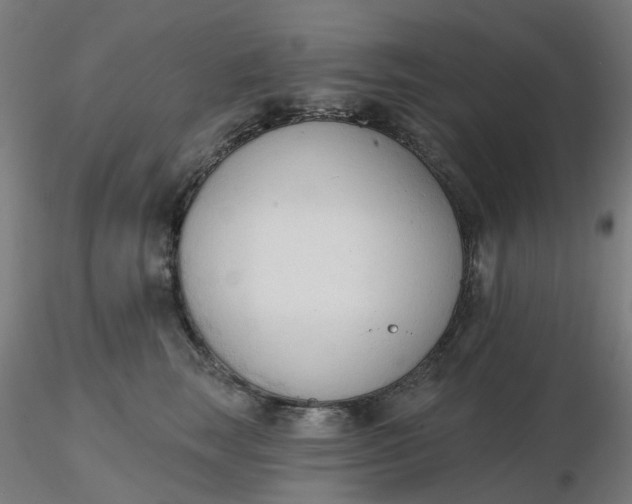 X0000116510663200912231234